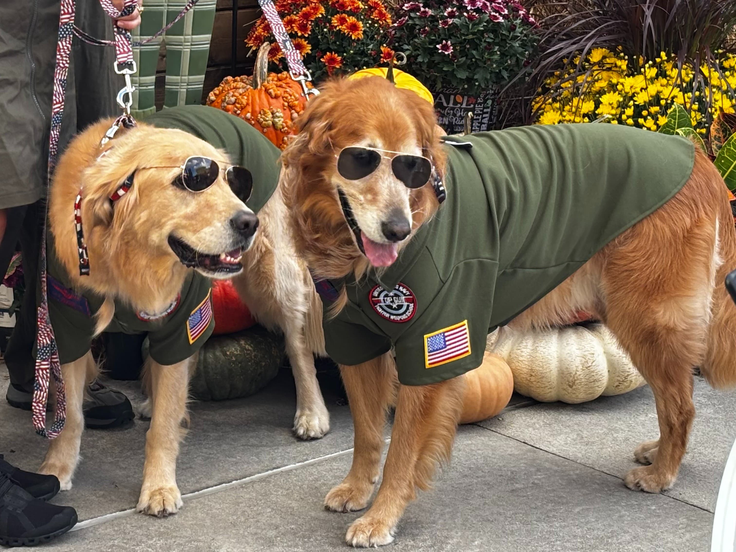 Barktober