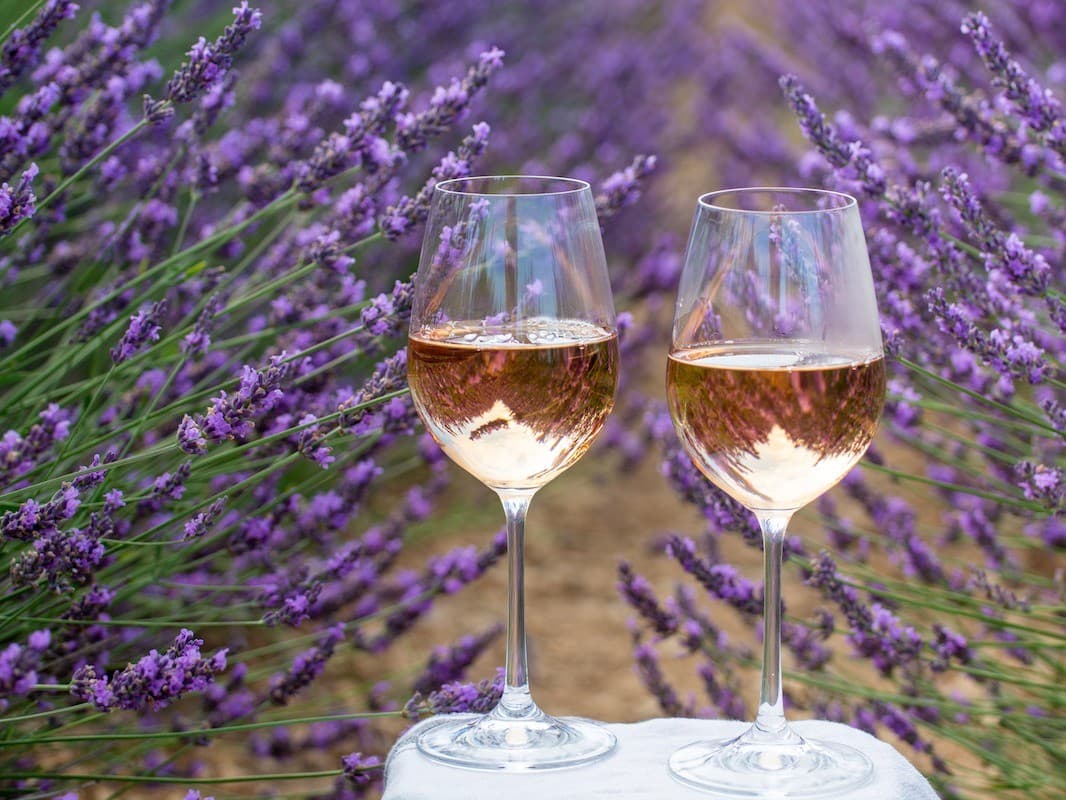 Wine Dinner: Provence