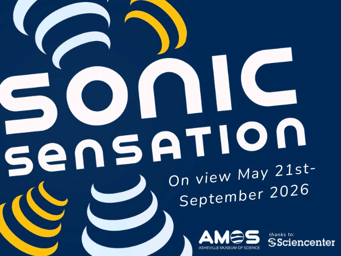 AMOS Presents Sonic Sensation