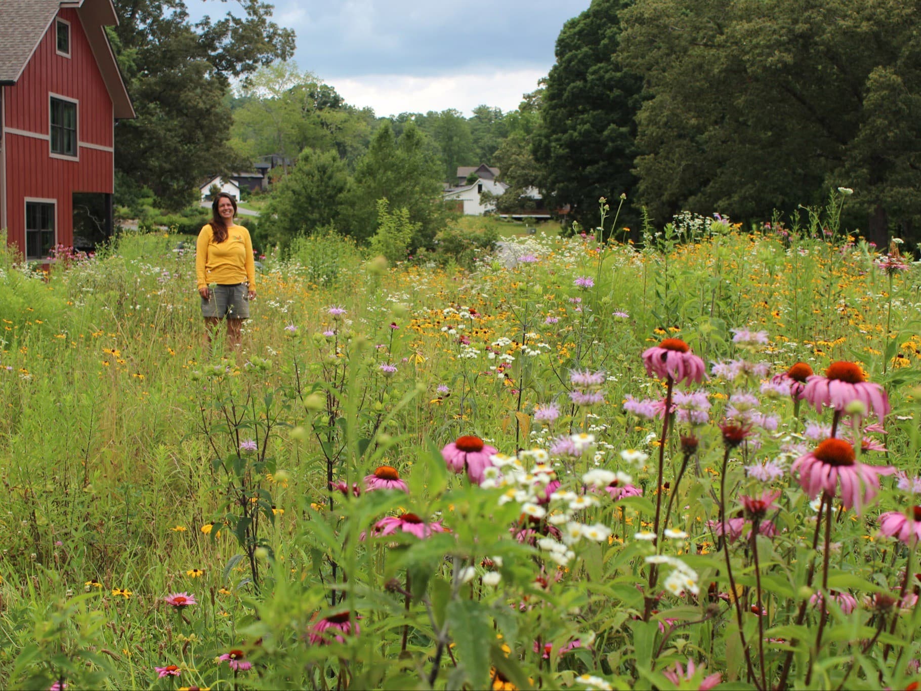 From Lawn to Meadow I: Native Meadows with Emily Sampson