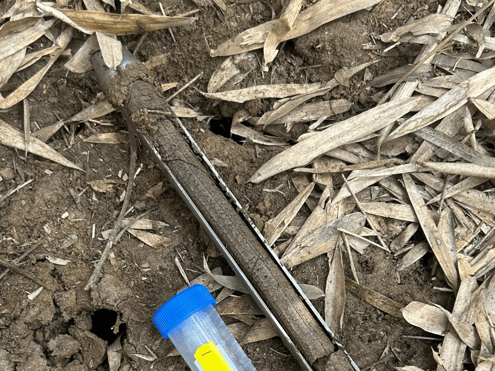 All about Soils: Understanding and Improving Soils of the Southern Appalachians