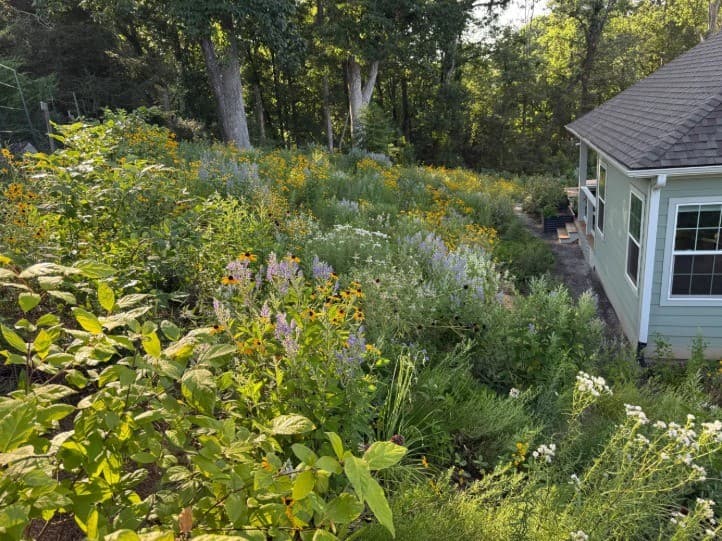 Gardening on Steep Slopes with Drew Lathin