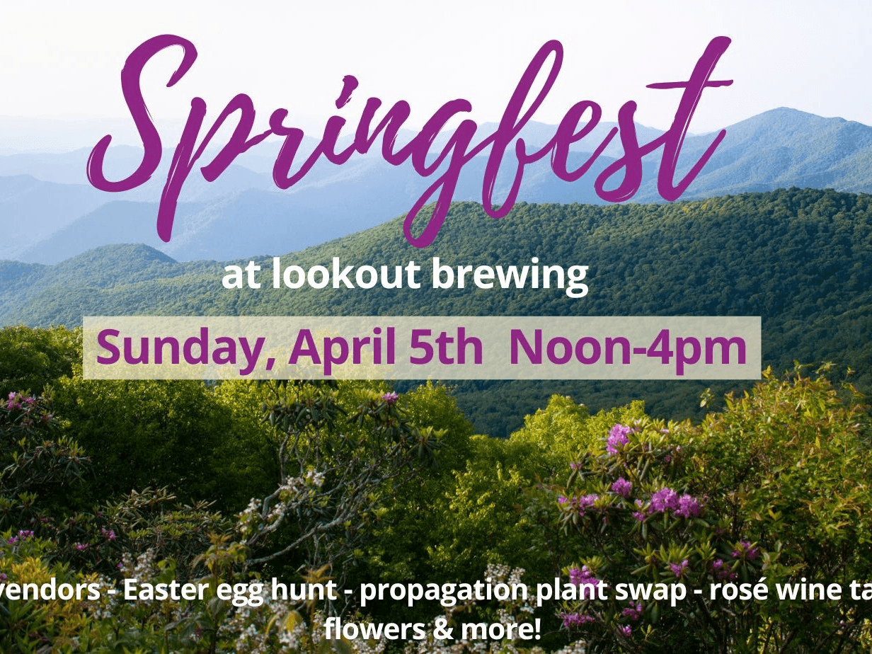 Springfest at Lookout Brewing