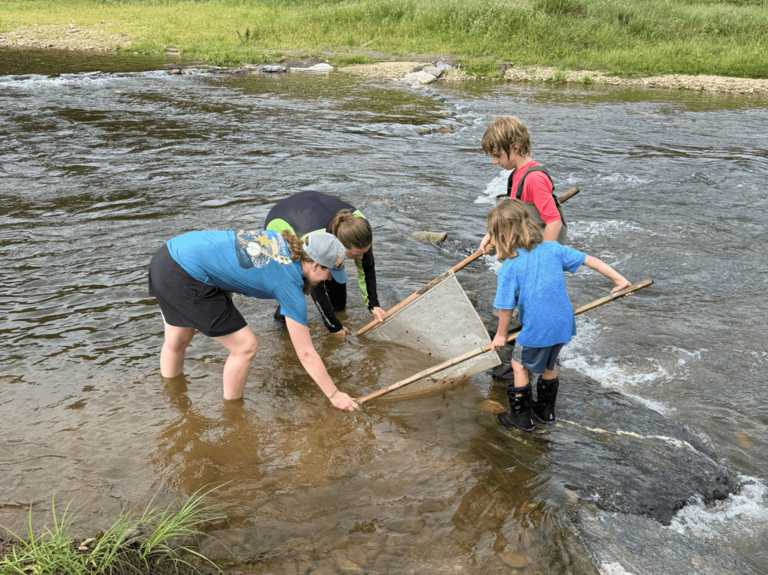 Kids in the Creek!