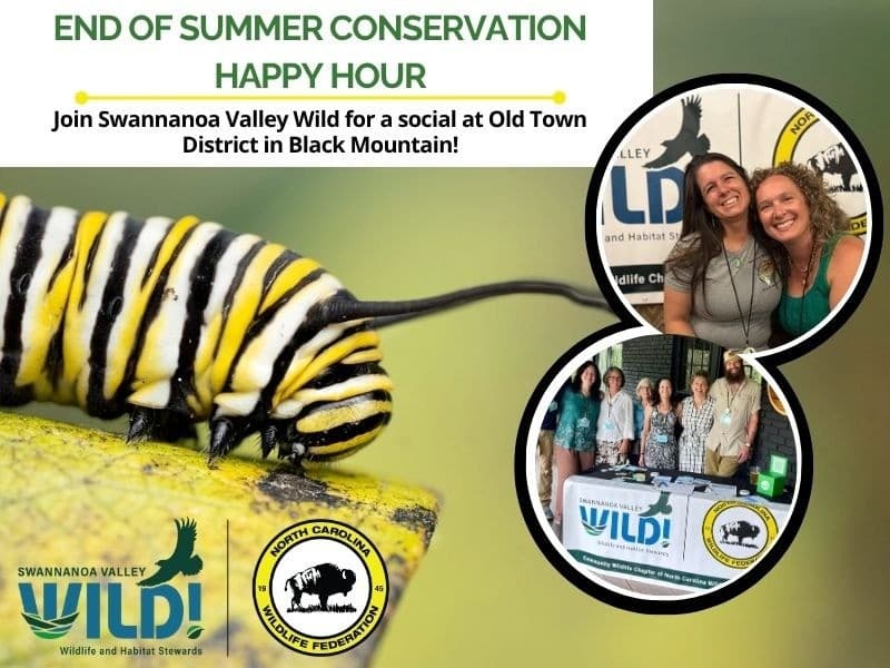End of Summer Conservation Happy Hour