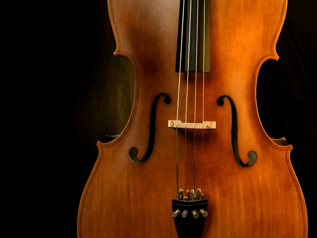 Cellist Franklin Keel in Concert