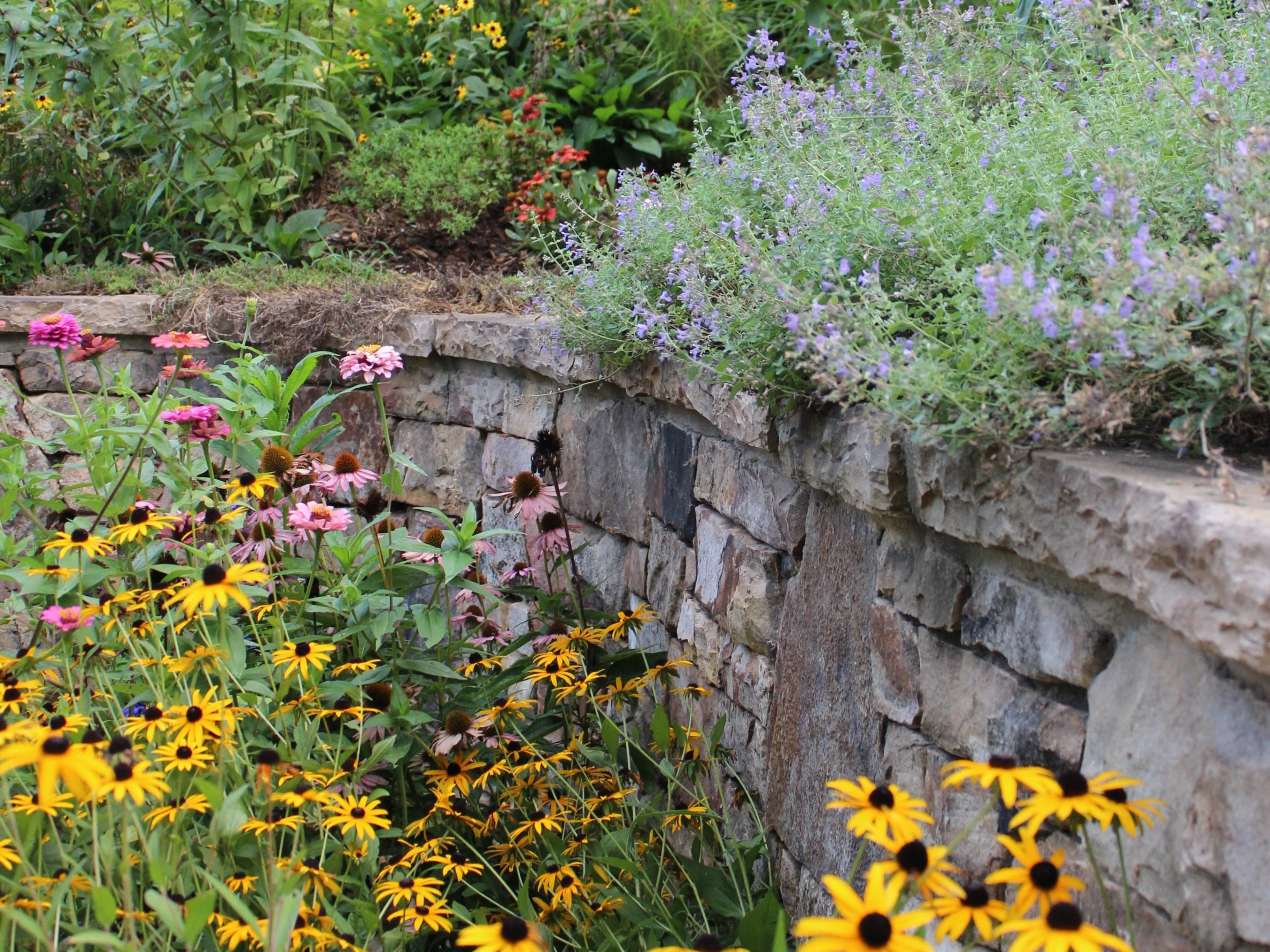 West Asheville Garden Stroll