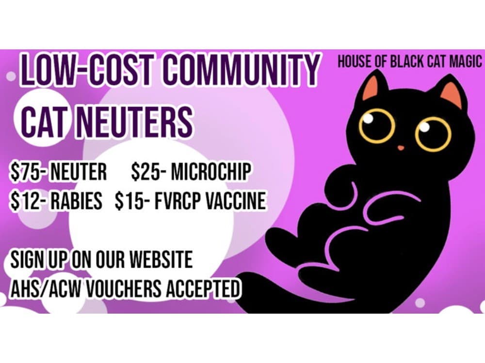 Low-Cost Community Cat Neuter Clinic