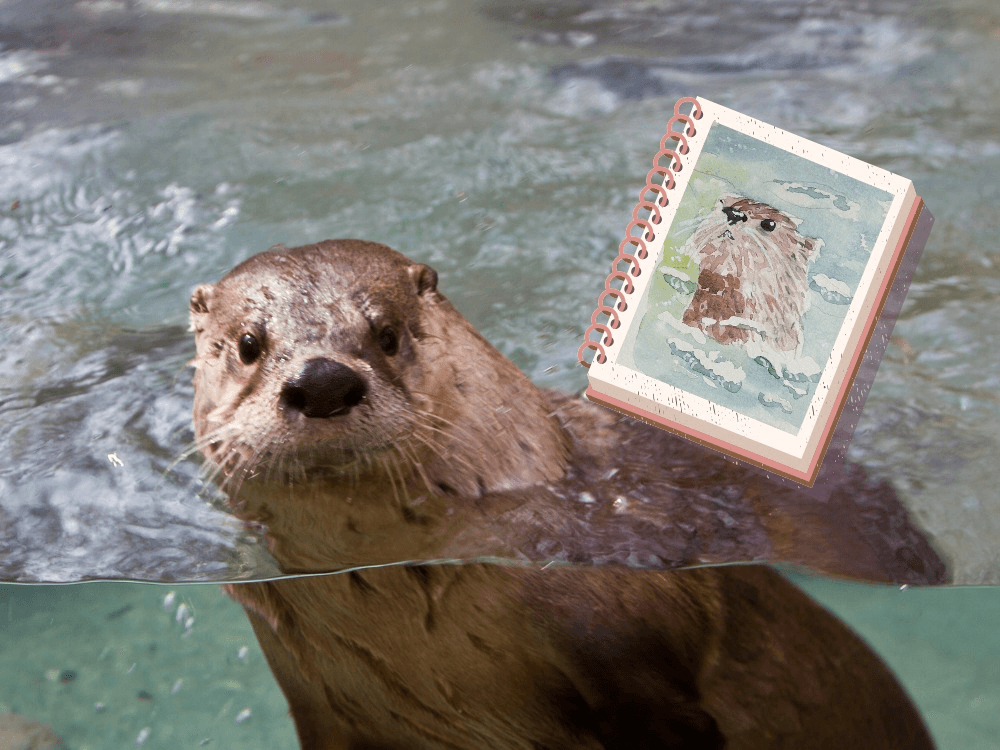 Wild Seasons Art Class