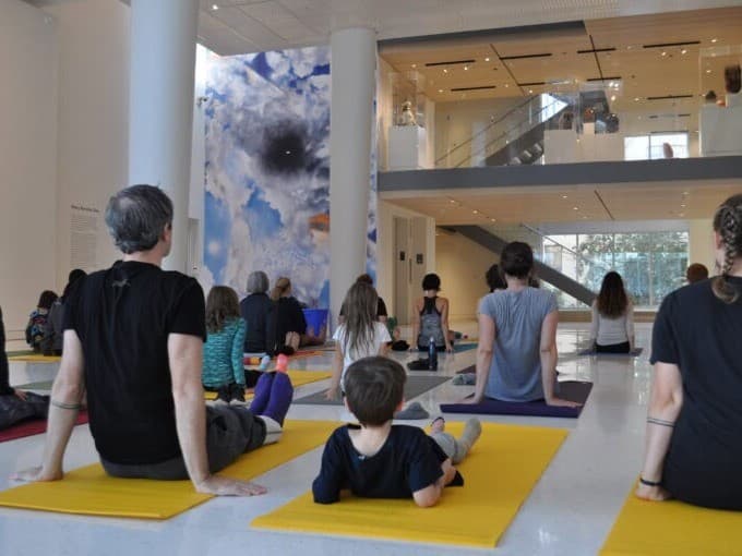 Wellness Day at The Asheville Art Museum