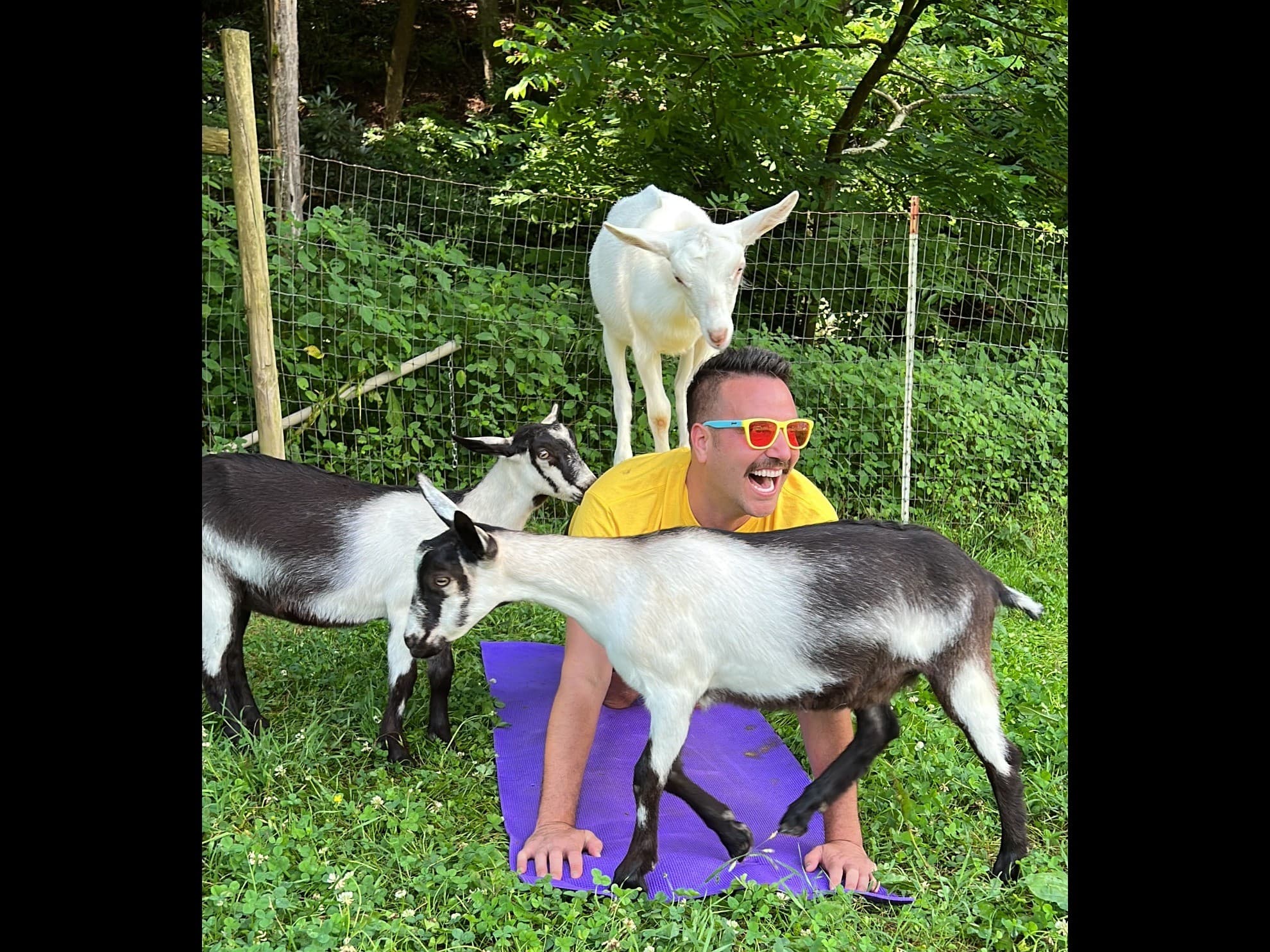 Goat Yoga on the Farm