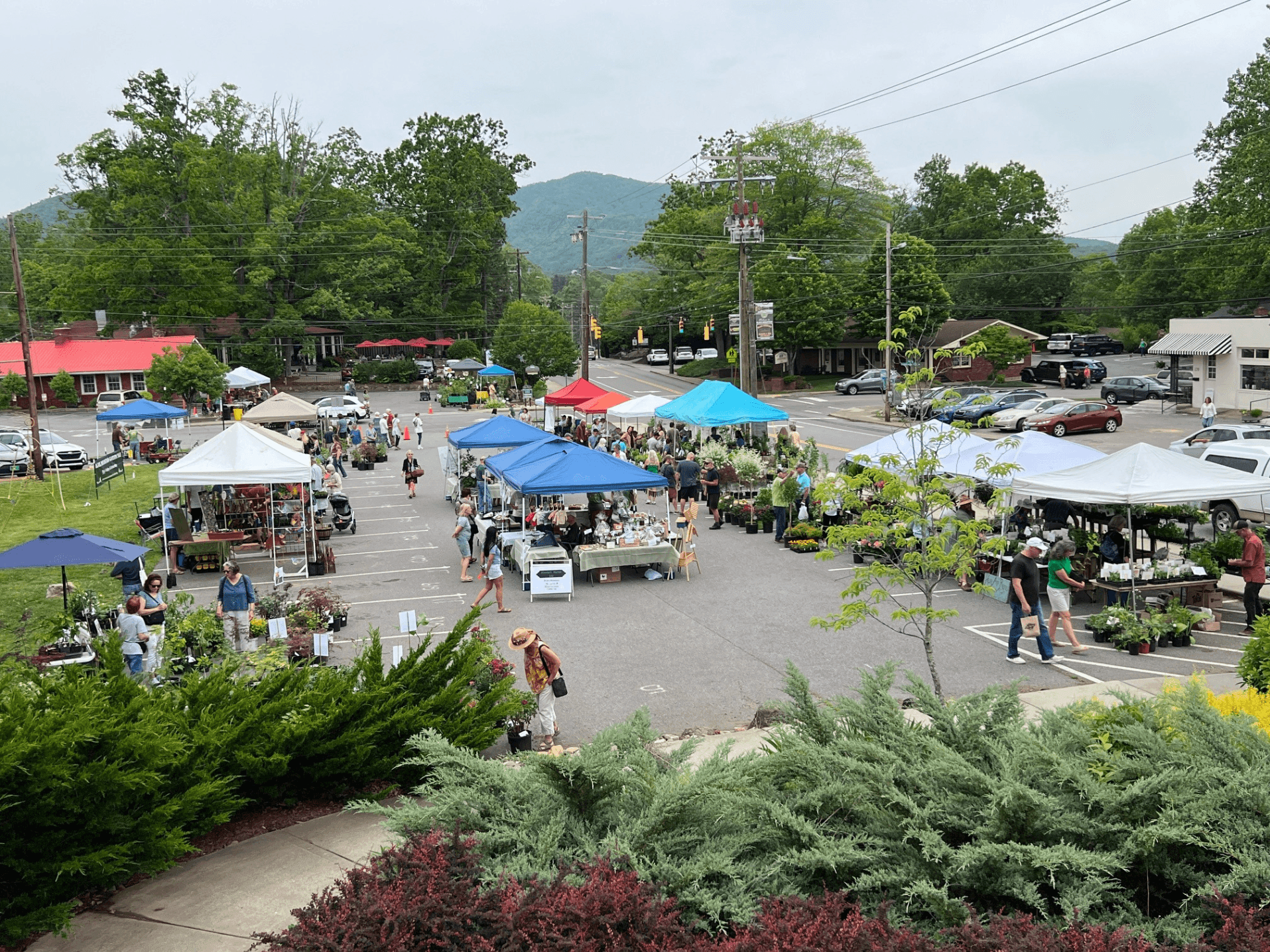 Black Mountain Beautification Committee Garden Sale