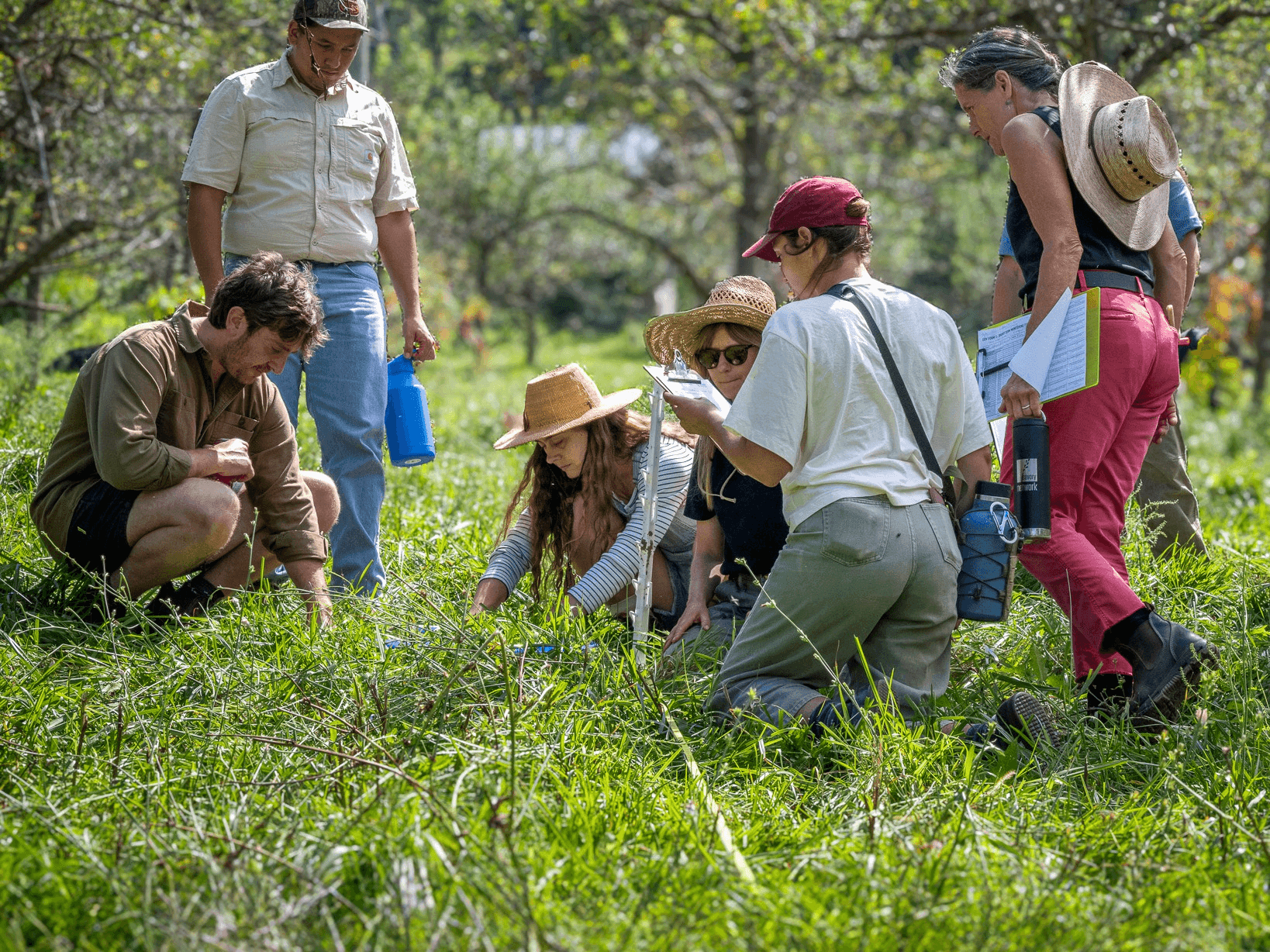 EOV Monitor Training at Hickory Nut Gap