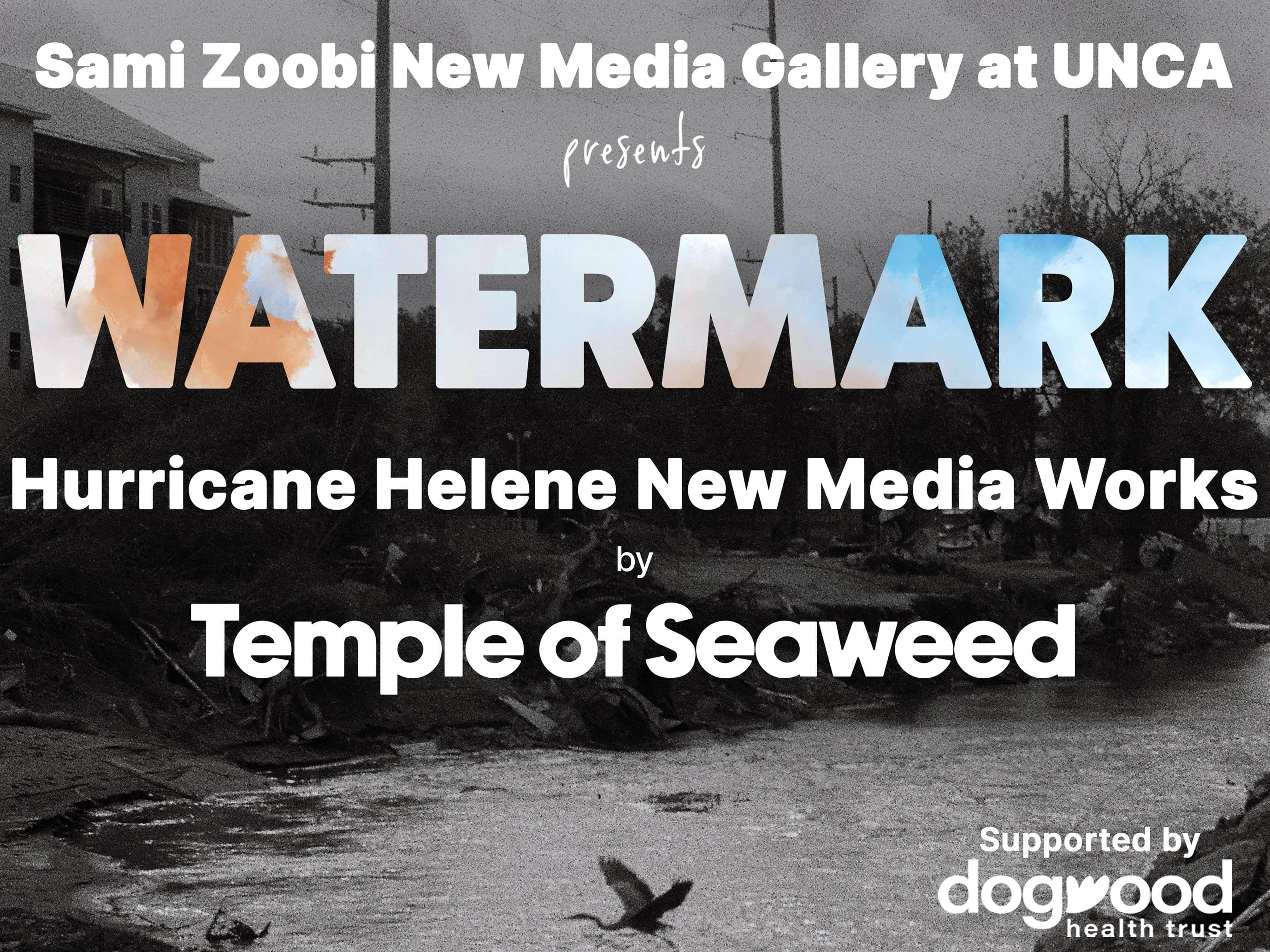 Watermark: Hurricane Helene New Media Works by Temple of Seaweed