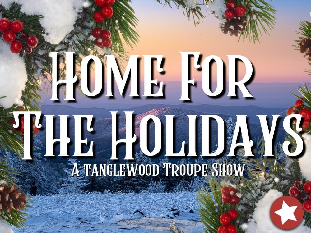 Home For The Holidays