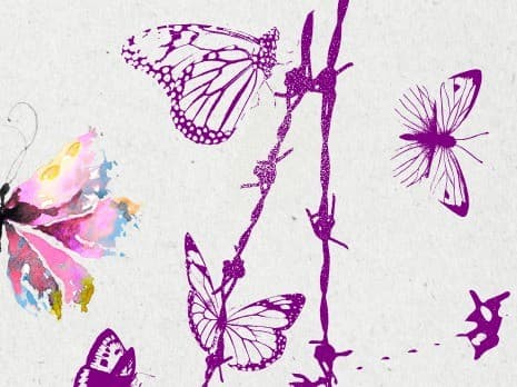 Tiny Beautiful Things