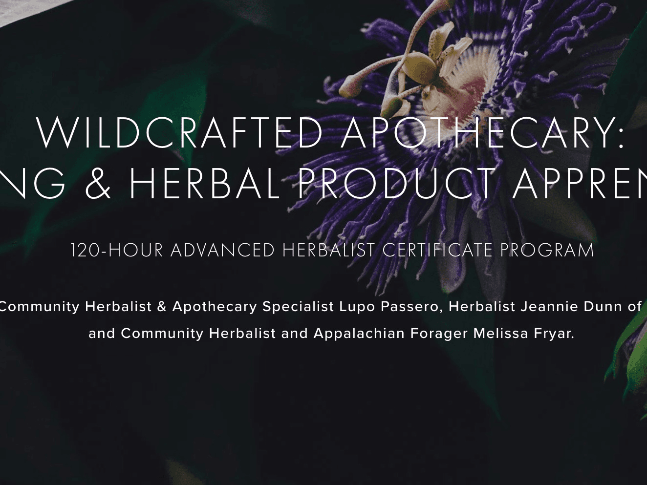 Wildcrafted Apothecary: A Foraging & Herbal Product Apprenticeship