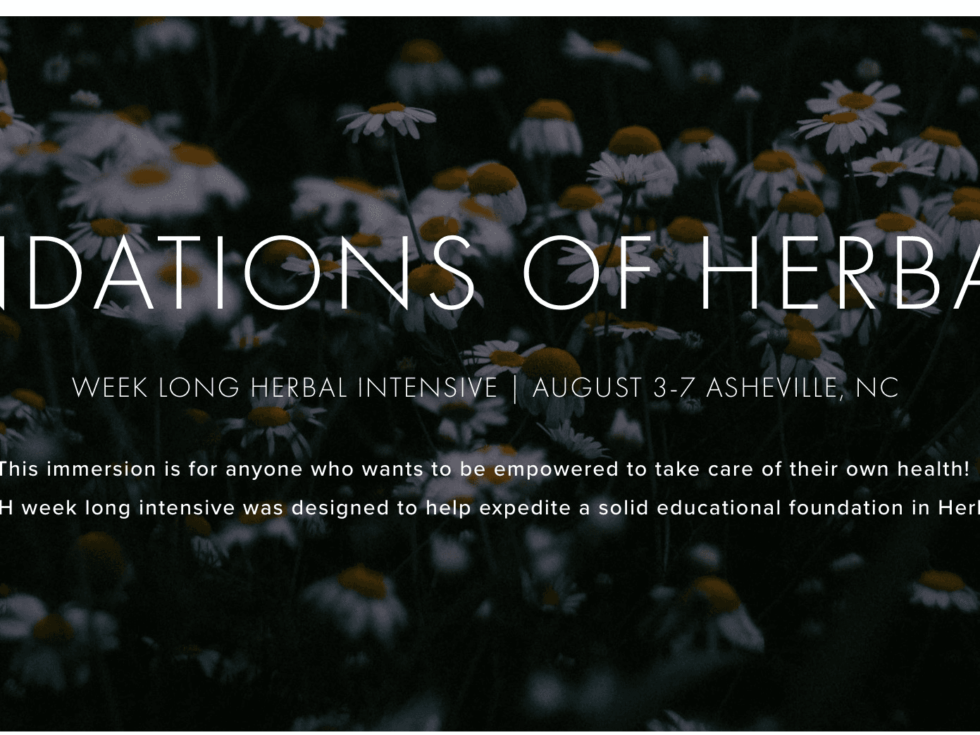 Foundations of Herbalism Immersion