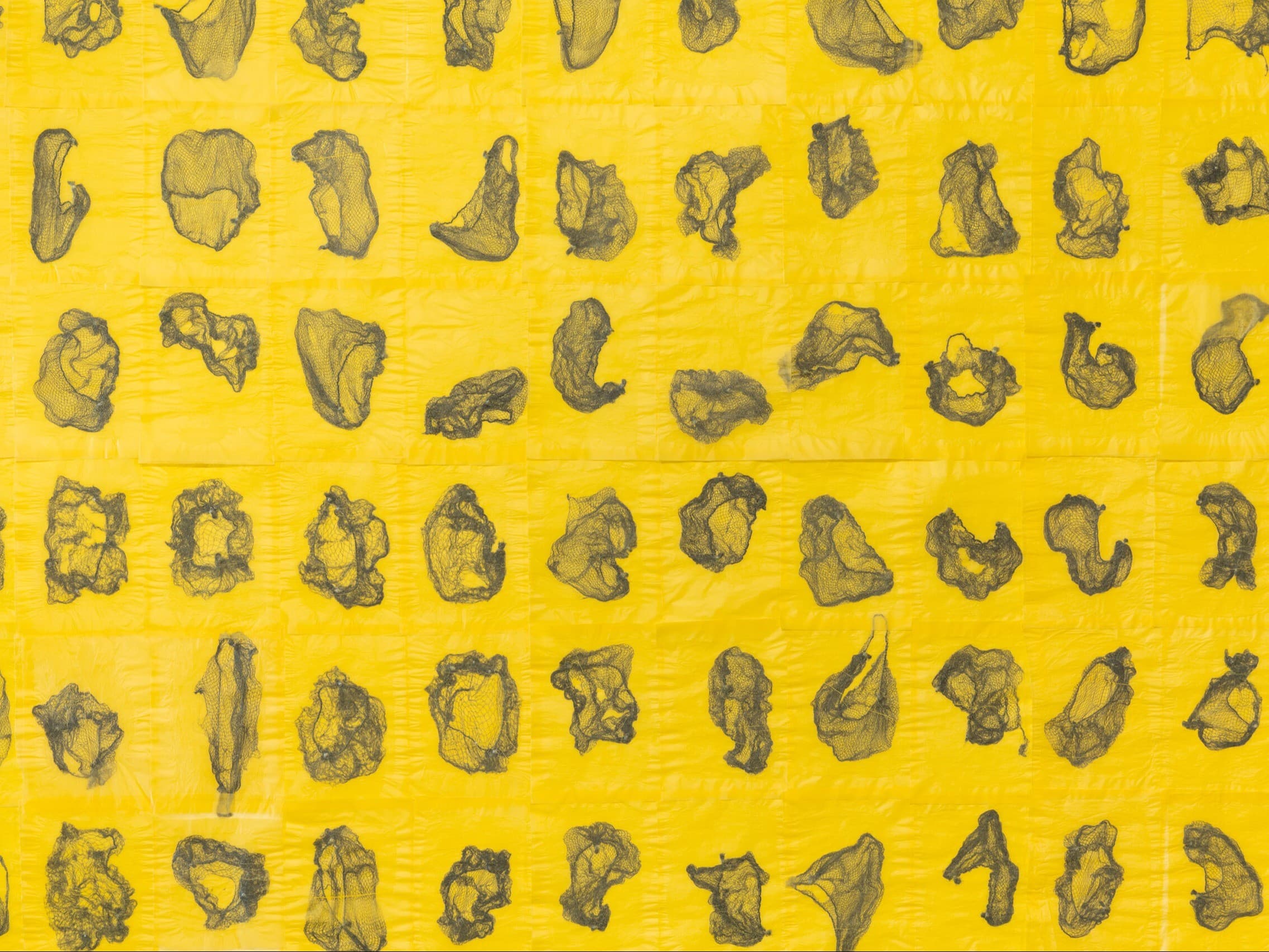 Women of the Pacific Northwest