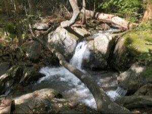 Echoes Of The Valley Tour: Montreat Hydroelectric