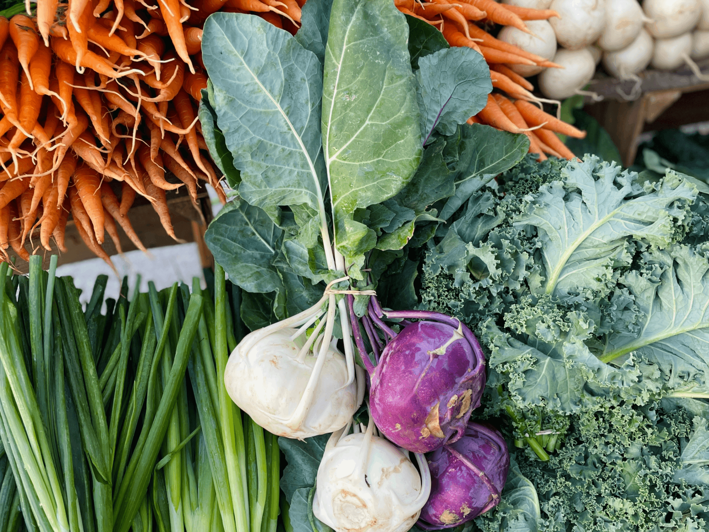 Asheville City Winter Market