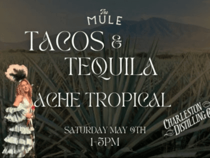 Tacos & Tequila at The Mule