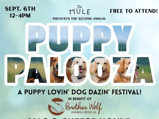 Puppy Palooza at The Mule: Dog Festival Benefiting Brother Wolf