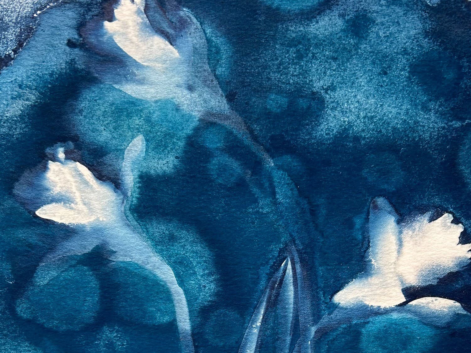 Discover the Magic of Cyanotypes art class