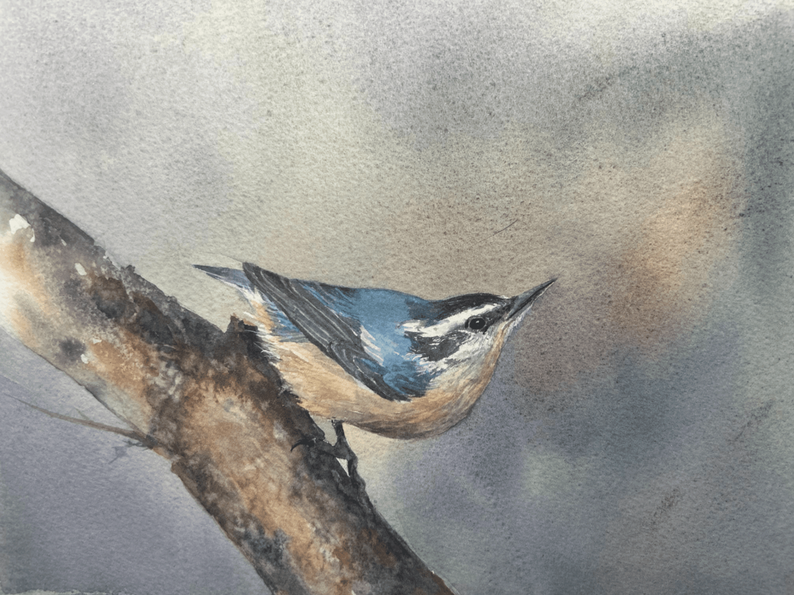 Painting Birds with Watercolors