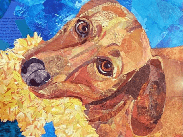 Pet Portrait Collage with Li Newton