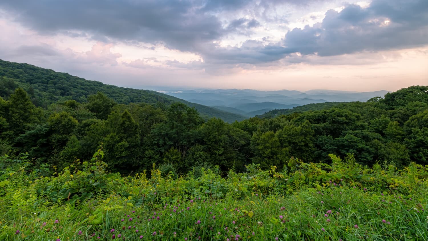 Mindfulness and Well-being Series: Yoga on the Mountain: Grounded and Grateful