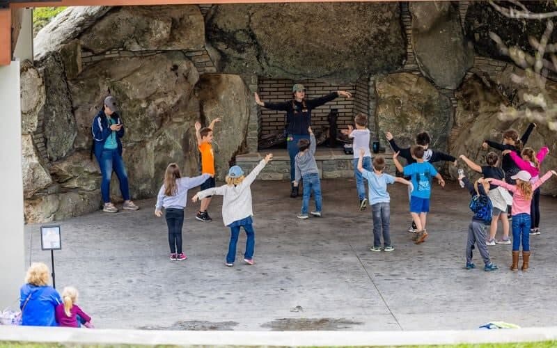 Sounds of Nature — Kids’ Music Day